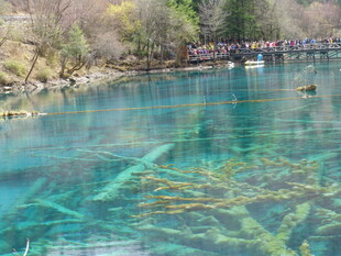 清澈蓝绿色湖水风景图
