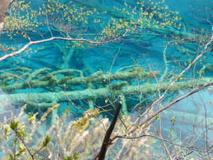 清澈湖水与水下景致