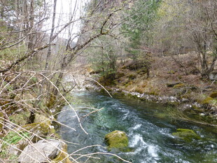 山间溪流潺潺的自然美景