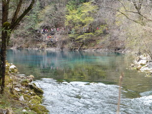 山间清澈溪流与葱郁树木