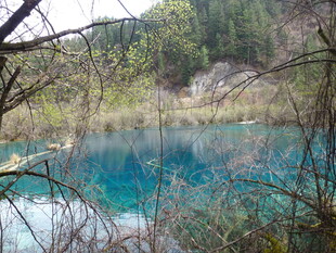 山间蓝湖 草木环绕之景