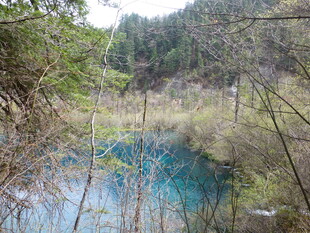 山林间的清澈蓝湖