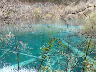 梦幻蓝湖 林间静谧之景
