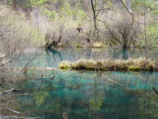 幽美清澈的森林湖泊景观