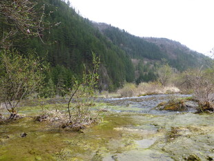 山间溪流 自然清新景致