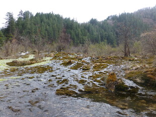 山间溪流 自然清新之景