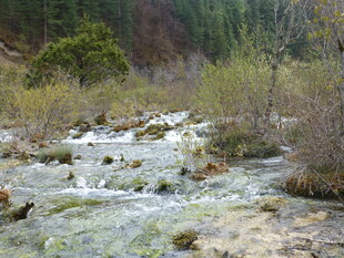 山间潺潺溪流风景图