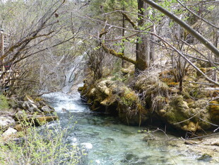 山间溪流潺潺的自然景致