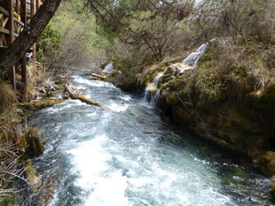 山间溪流潺潺的自然美景