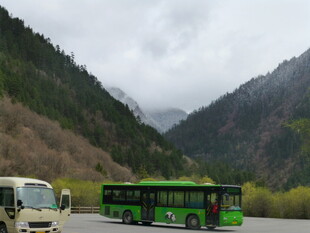 山间公路上的绿色公交车