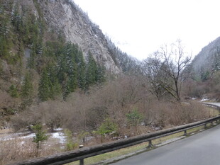 山间公路旁的自然景致