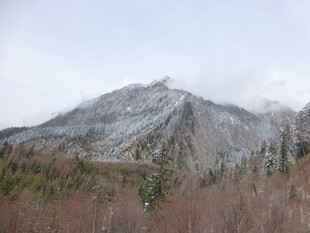 雪覆山峦 山林初显冬意