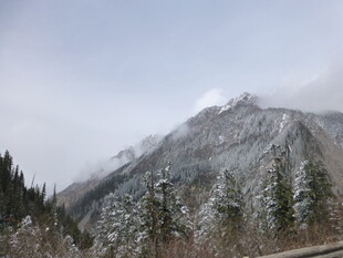 雪覆山峦 林间雾霭景致