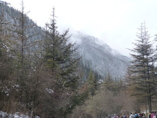 山间雪景中的人群与树木