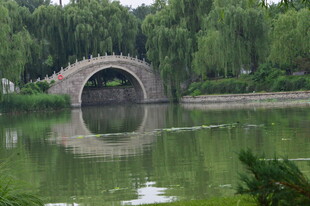 公园风景 