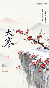 大寒海报