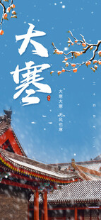 大寒海报