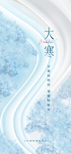 大寒海报
