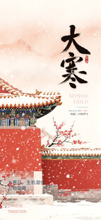 大寒海报
