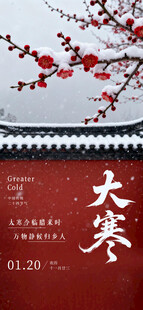 大寒海报