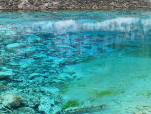 清澈见底的水下世界