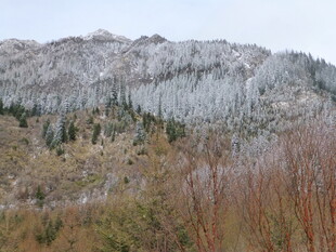 雪覆山峦间的多彩植被