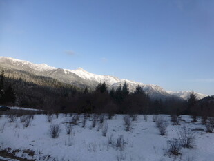 冬日雪山下的静谧雪地