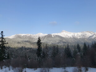 冬日雪山森林纯净美景