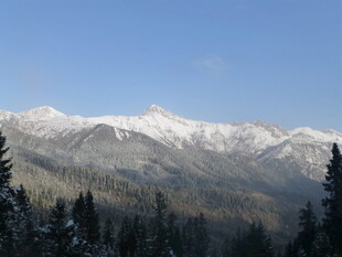 雪覆山峦与松林美景