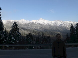 人立于雪山松林前的景致