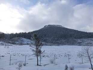 冬日雪野中的孤树与远山