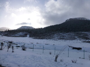 冬日雪野中的静谧景致