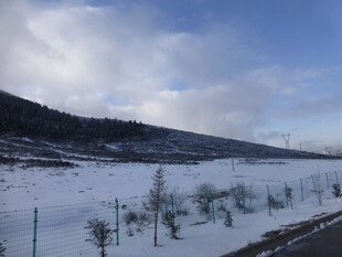 冬日田野雪景风光