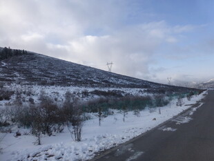 冬日雪覆路旁山林景象