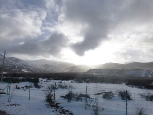 冬日雪景下的开阔田野