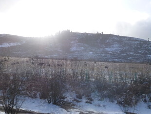 冬日雪覆田野的美丽景致