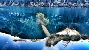 梦幻水下世界景象