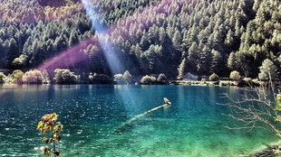 山间翠绿瀑布下的清澈湖水