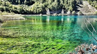 清澈碧绿的山间湖泊