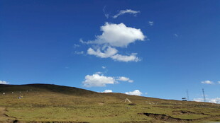 草原蓝天 白云悠悠