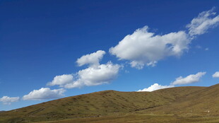 蓝天草地间的美丽景致