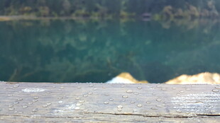 湖边木栈道景色