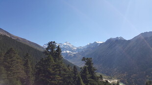 壮丽山景与葱郁林木