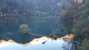 秀丽山水间的静谧湖泊