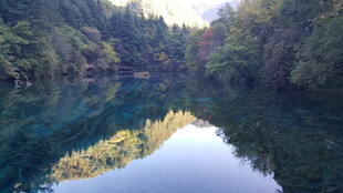 静谧山林中的清澈湖水