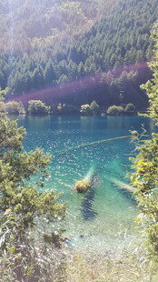 梦幻蓝湖的静谧自然景致