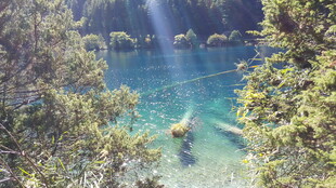 森林中的清澈幽蓝湖水