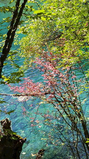 山林间的清澈溪流美景