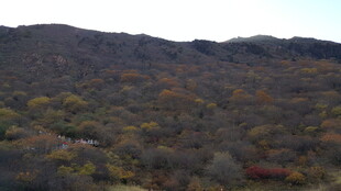 秋日山峦斑斓景致