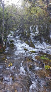 山间溪流潺潺 自然美景